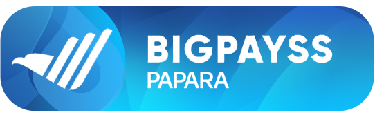 BigPays Papara